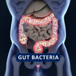 microbiota-probioticos-fermentación-salud