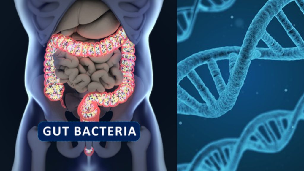 comer-segun-genes-microbiota